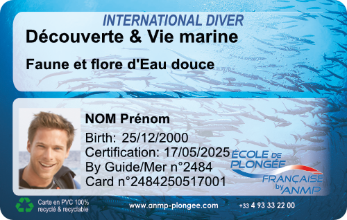 Decouverte Eau douce