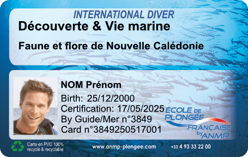 Decouverte Nouvelle Calédonie